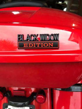 2 PCS BLACK WIDOW Edition Emblem Fender Badge