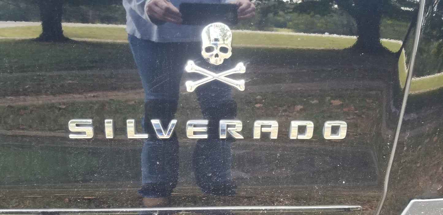 2pcs Skull Emblem Badge