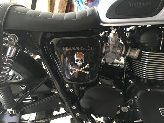 2pcs Skull Emblem Badge